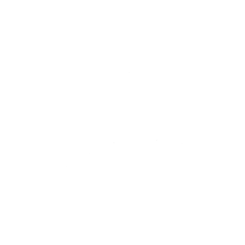 Edizzion